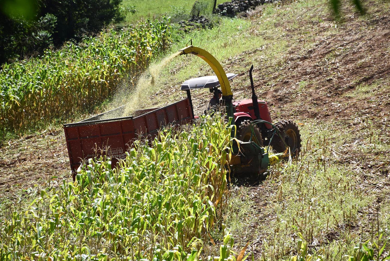 agricultura