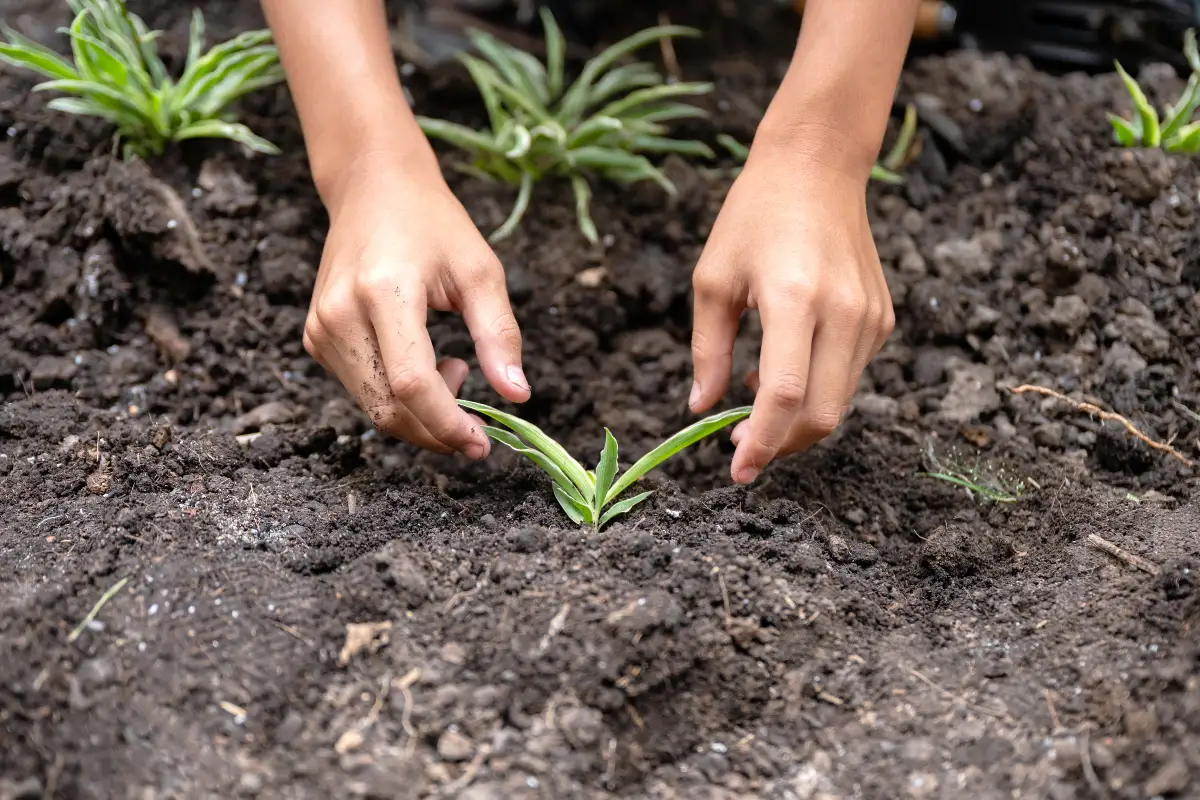 Prefeitura de Nova Petrópolis e Emater promovem capacitação gratuita para produtores rurais