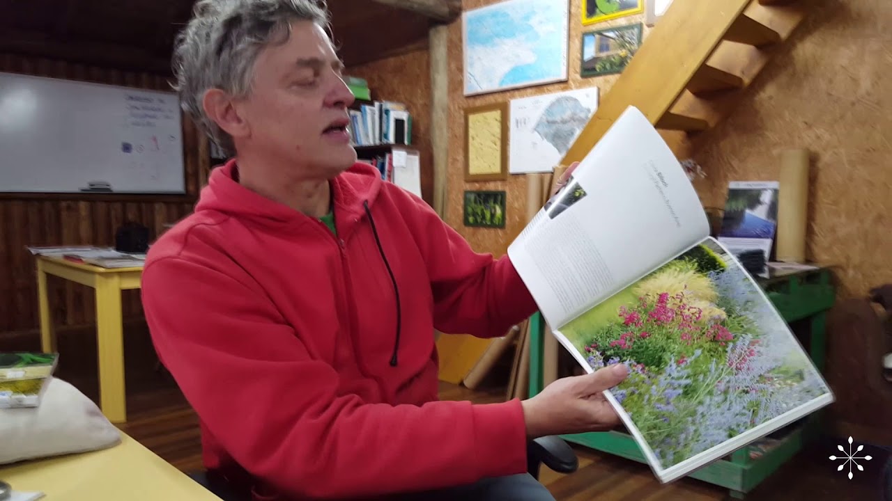 Toni Backes lança livro sobre cerejeiras neste domingo em Nova Petrópolis