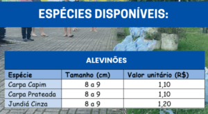 alevinos-2-300x165 Produtores de Linha Nova têm até 16 de novembro para encomendar alevinos