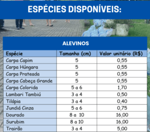 alevinos-4-300x264 Produtores de Linha Nova têm até 16 de novembro para encomendar alevinos
